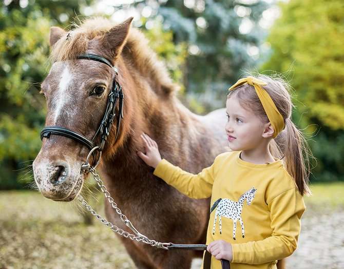 ZIEN! NIEUWE COLLECTIE POCOPATO ”THE DOTTED HORSE”