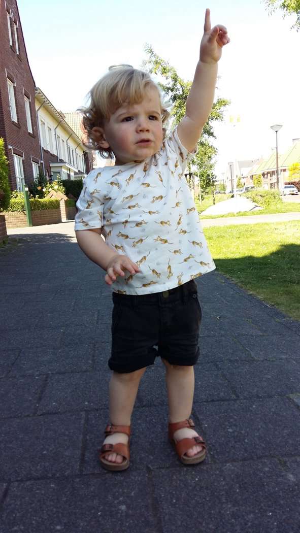 HET STOERE TIJGER T-SHIRT VAN BEAU